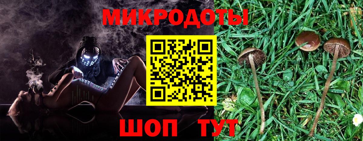 Псилоцибиновые грибы Magic Shrooms  Маркс 